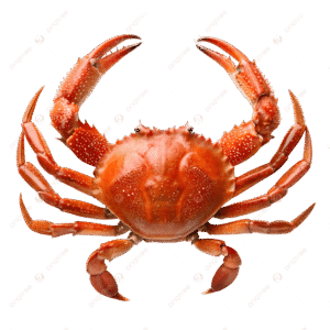 Fresh Crabs